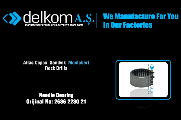 Игольчатый Подшипник